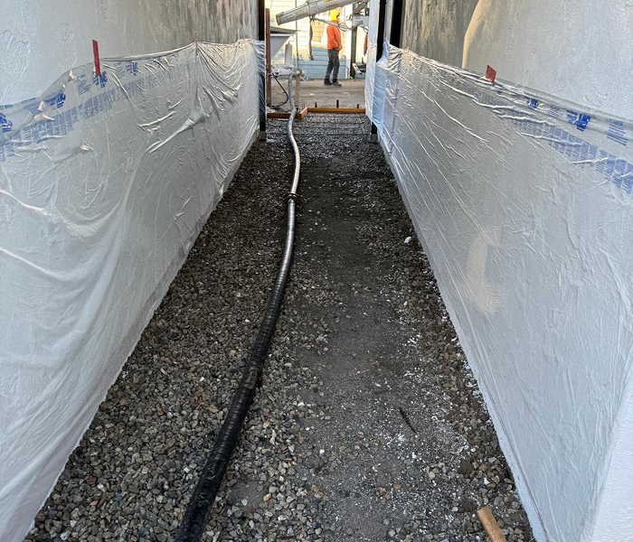 WhatsApp Image 2025-09-02 at 00.17.17